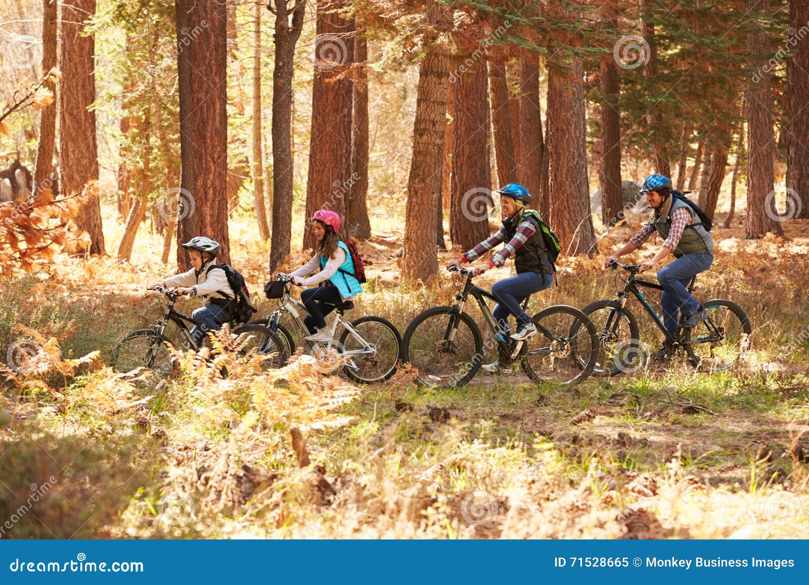 family mountain biking on forest trail, big bear, california