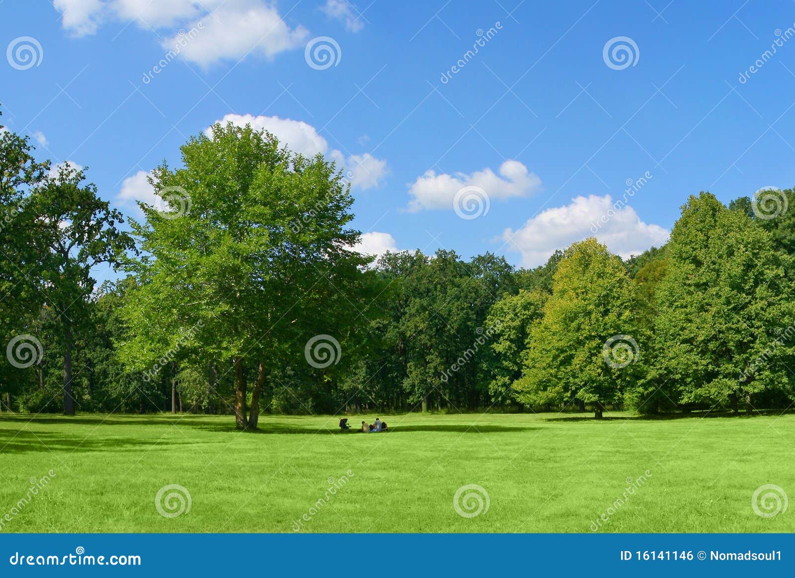 Family in park stock photo. Image of idyllic, freedom - 16141146