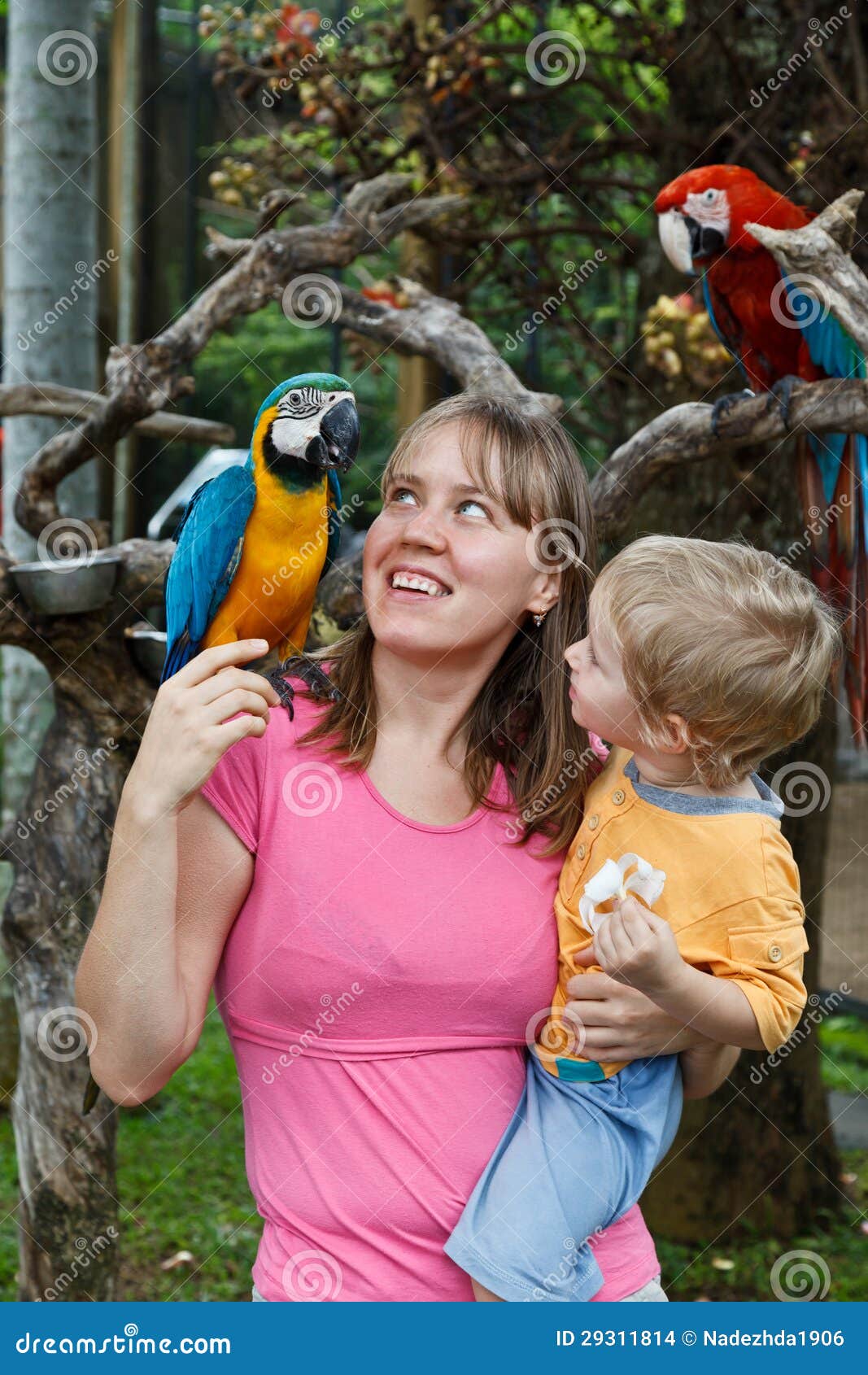 Family with parrots stock photo. Image of lifestyle, baby 29311814