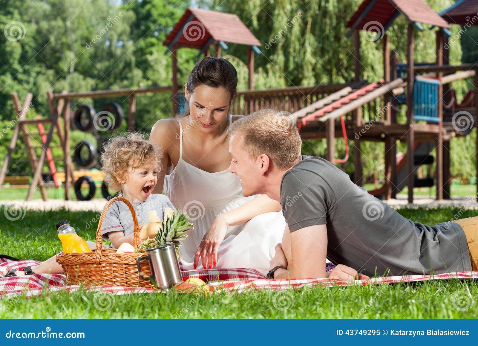 family picnic on the playground