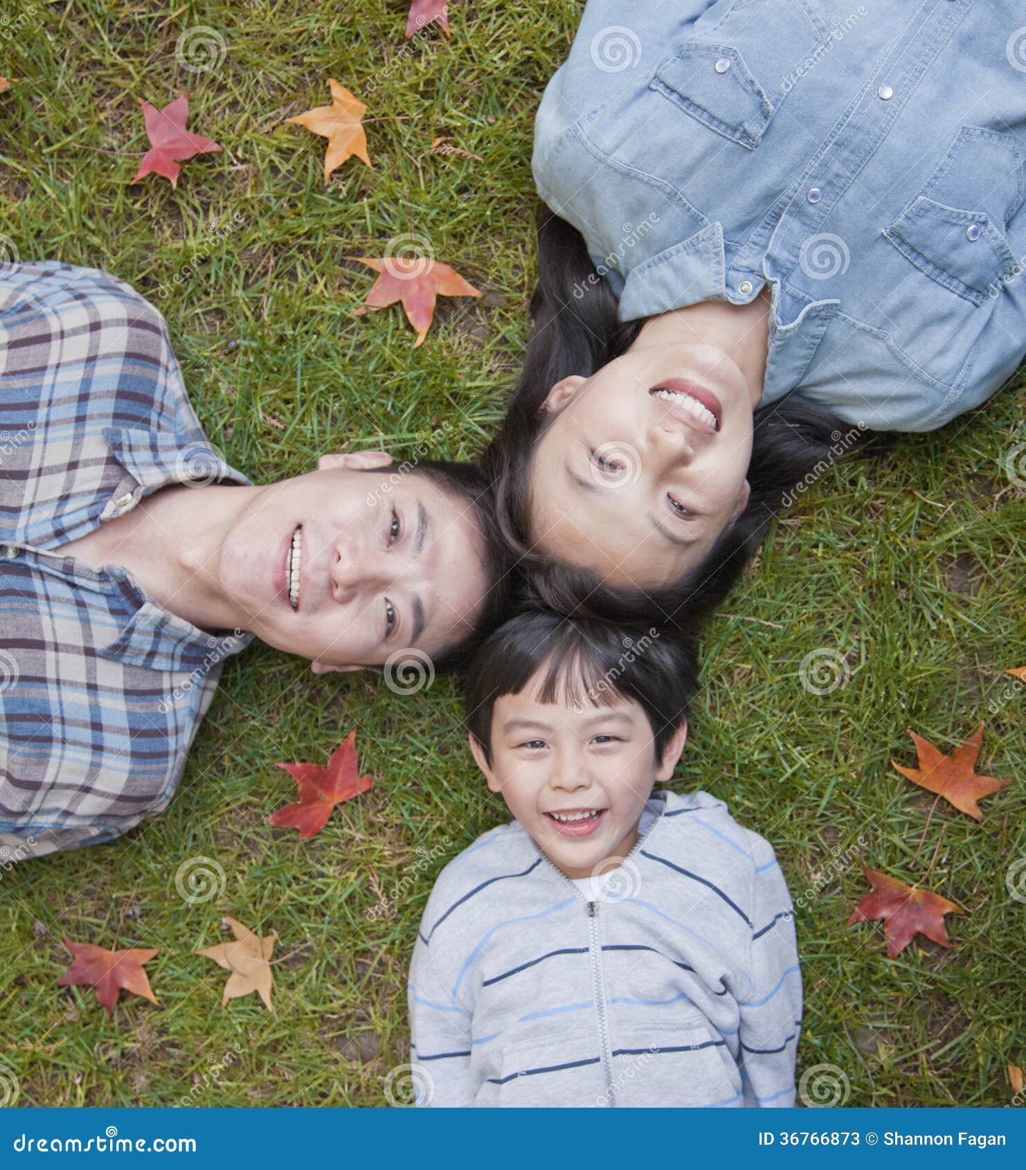 family portrait on the grass, directly above