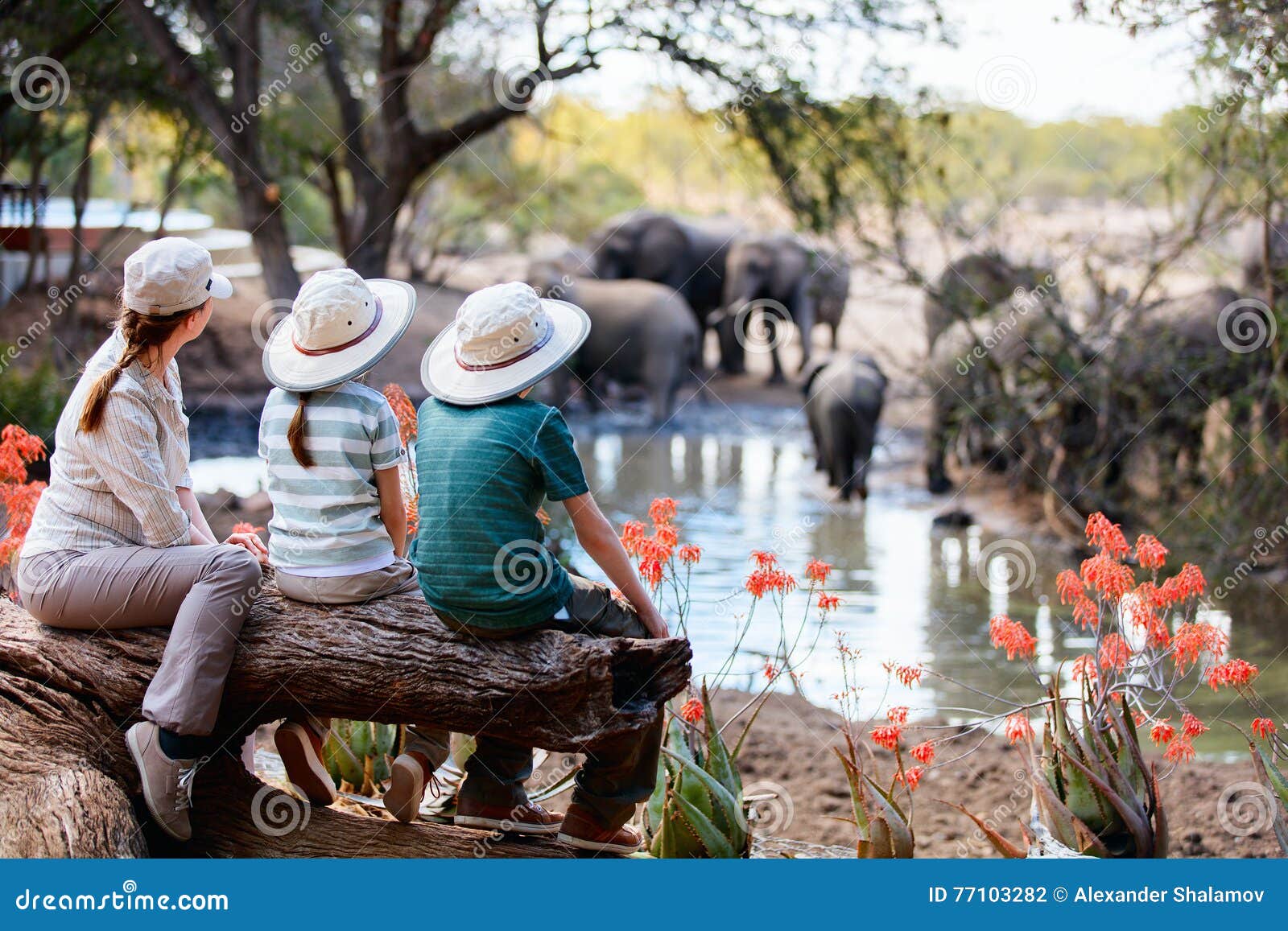 family safari