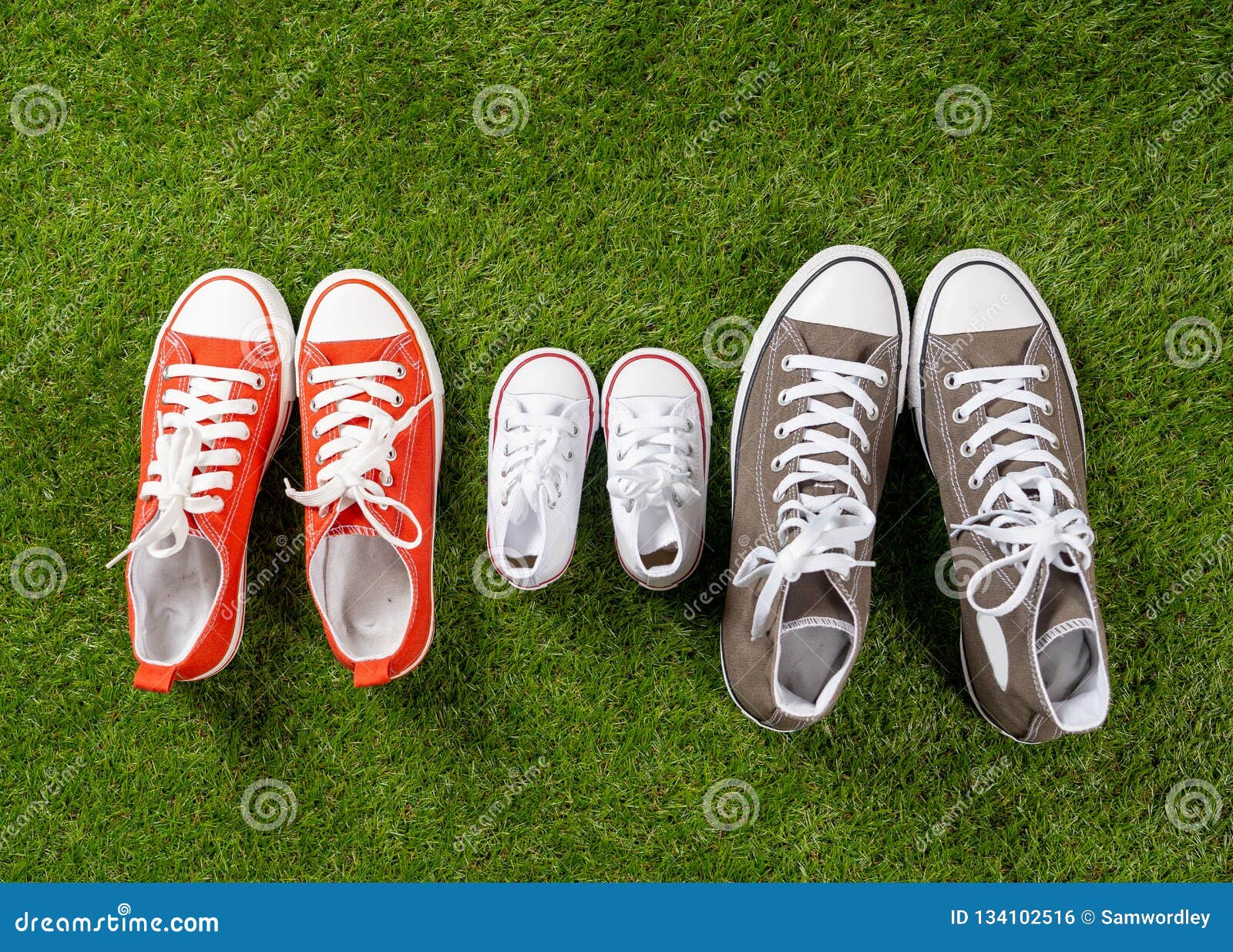 Family Sneakers Canvas Mother Father and Child Shoes on Green Grass in ...