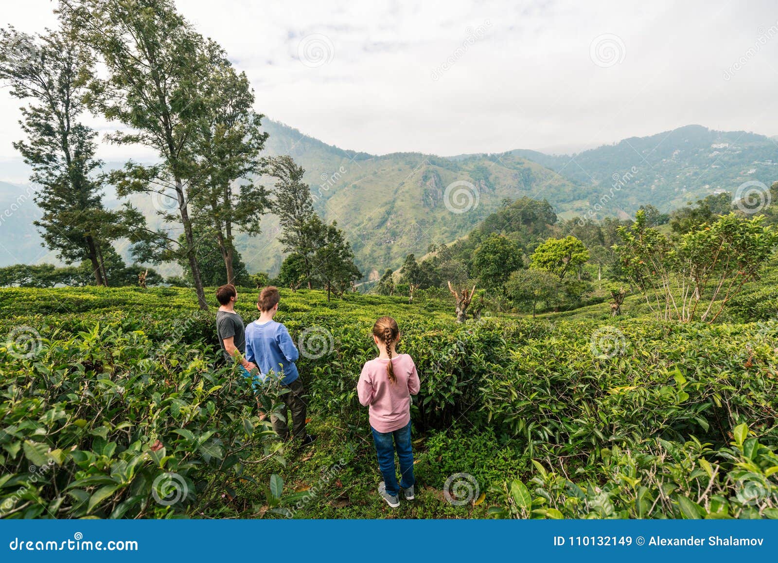 Family in tea country. Family of father and two kids enjoying breathtaking views over mountains and tea plantations in Ella Sri Lanka