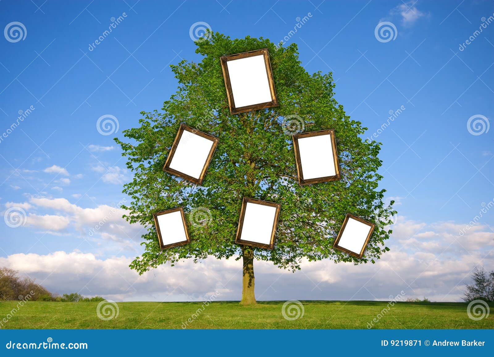 family tree