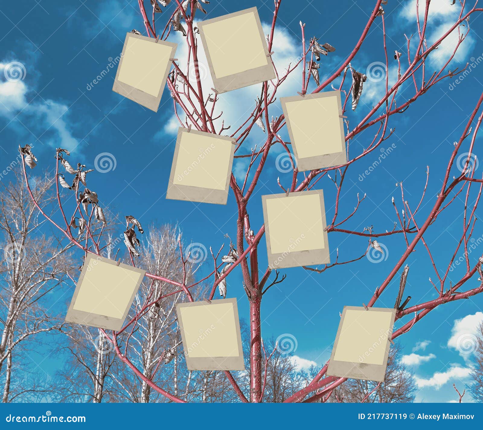 family tree, geneology. blue sky, white clouds. empty photos are attached to the red branches. family or friendly communication