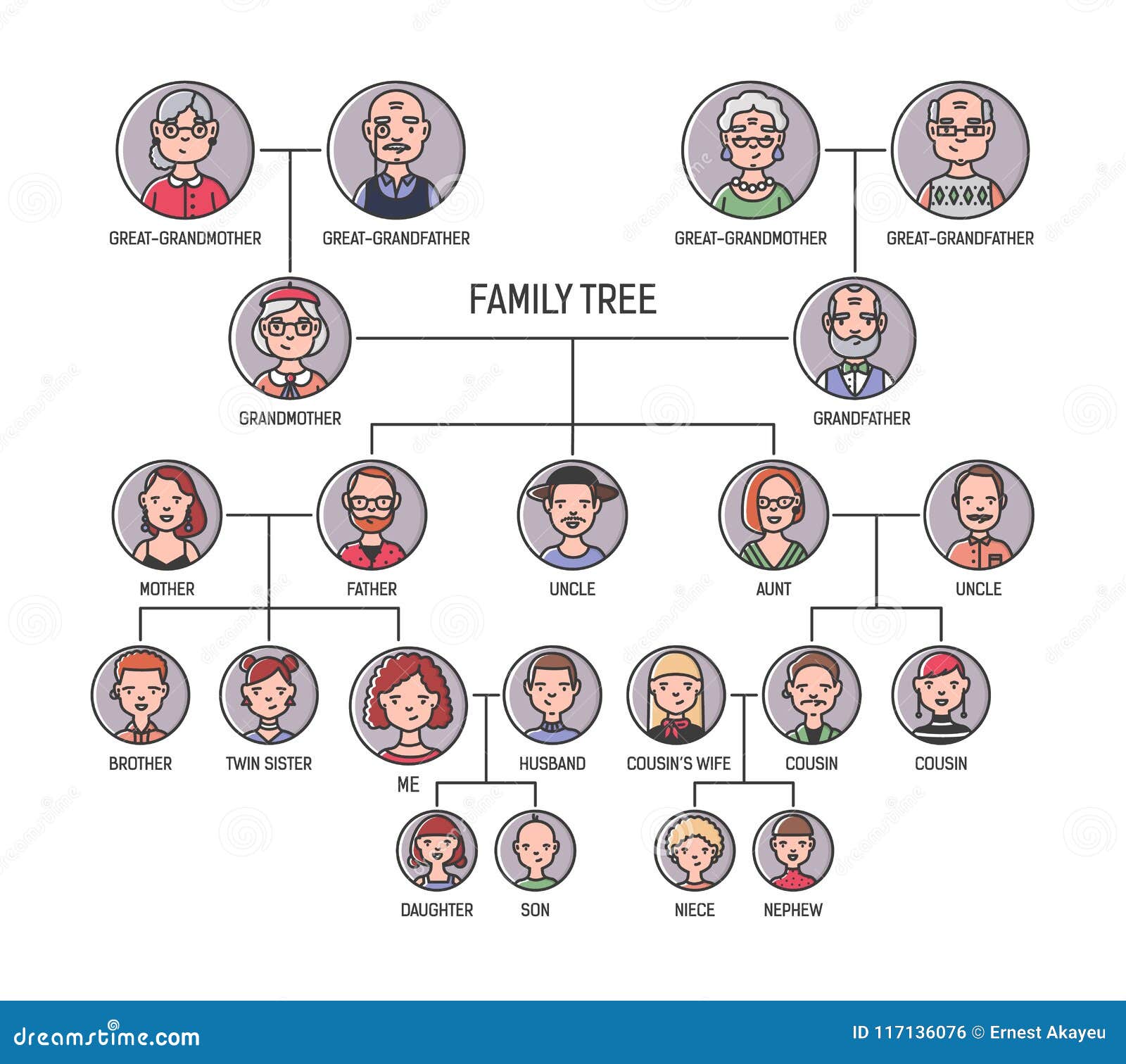 family tree, pedigree or ancestry chart template. cute men`s and women`s portraits in circular frames connected by lines