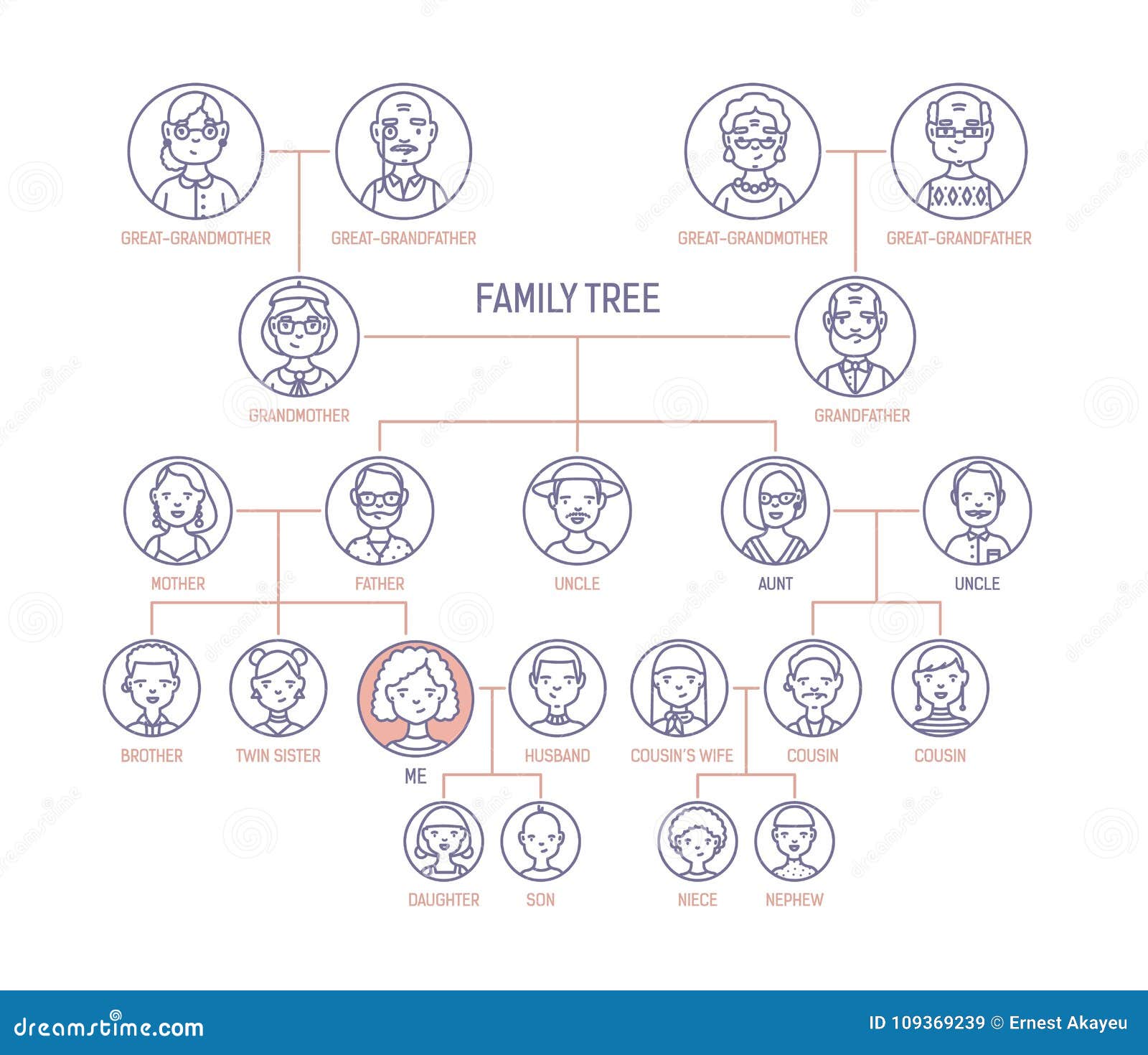 family tree, pedigree or ancestry chart template with men s and women s portraits in round frames. representation of