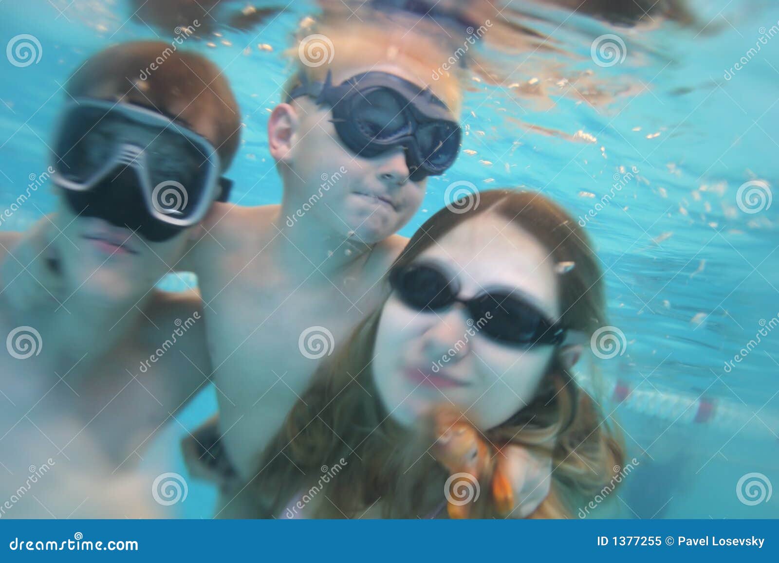 Family Underwater Pool Royalty Free Stock Photo Image 1377255