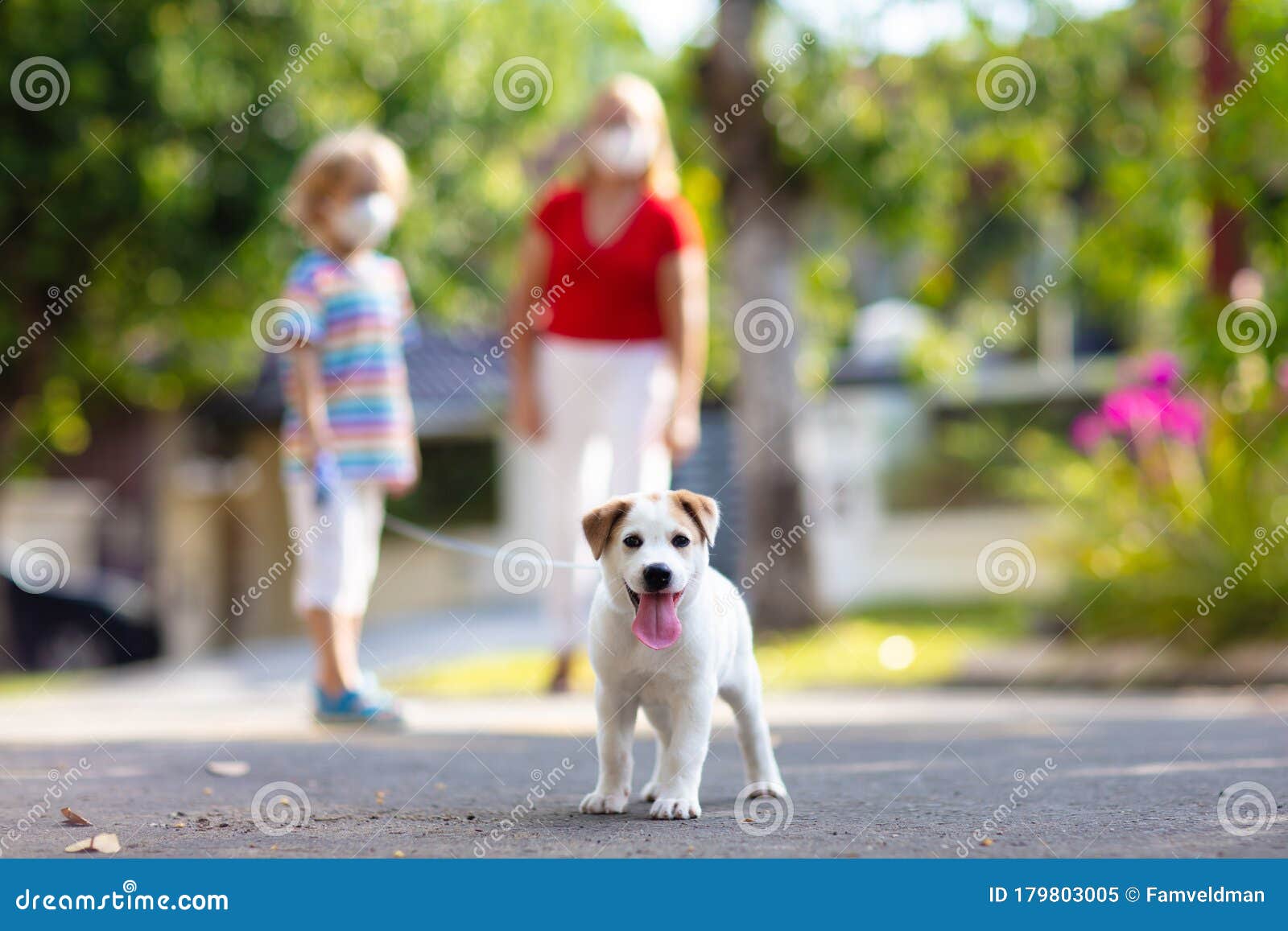 family walking dog during virus outbreak