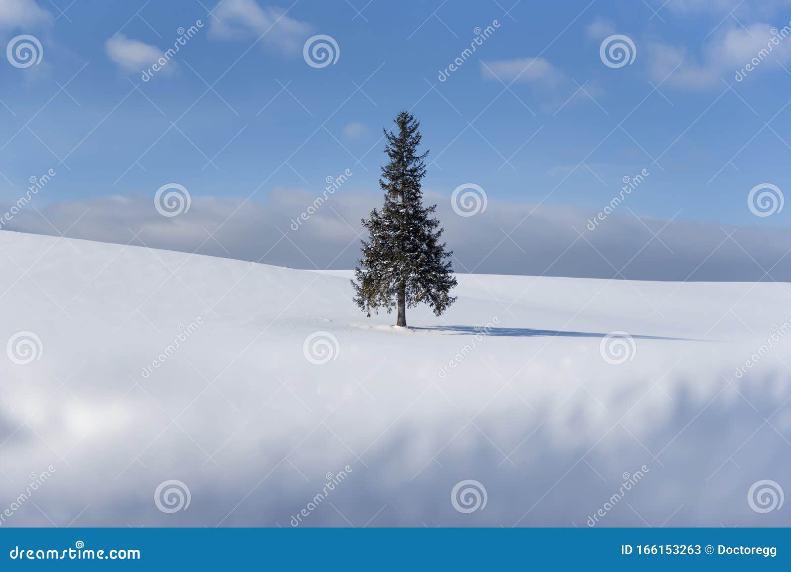 Famoso Árvore De Natal Em Snow Hill Com O Céu Azul No Inverno, Biei,  Hokkaido, Japão Foto de Stock Editorial - Imagem de cena, estrada: 166153263