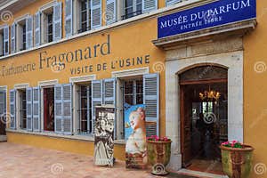 Grasse Stock Image CartoonDealer 12375247
