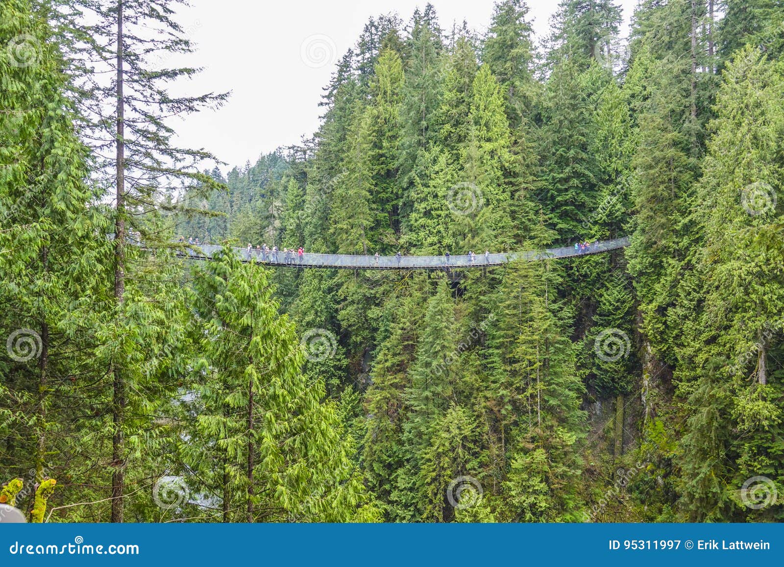 Famous Capilano Suspension Bridge in Canada CAPILANO / CANADA APRIL