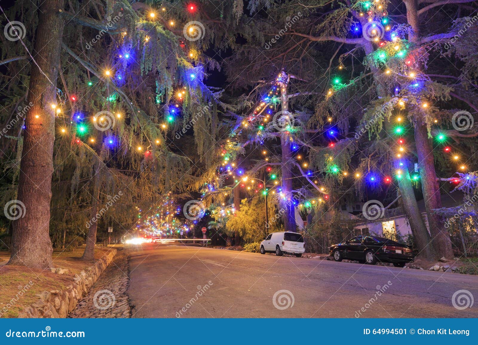 Christmas Tree Lane 