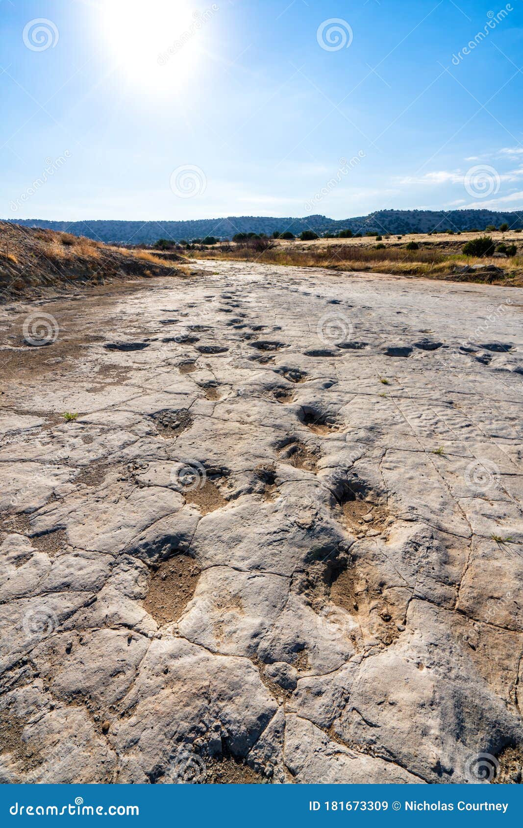 dinosaur tracks of comanche national grassland.  la junta, colorado.