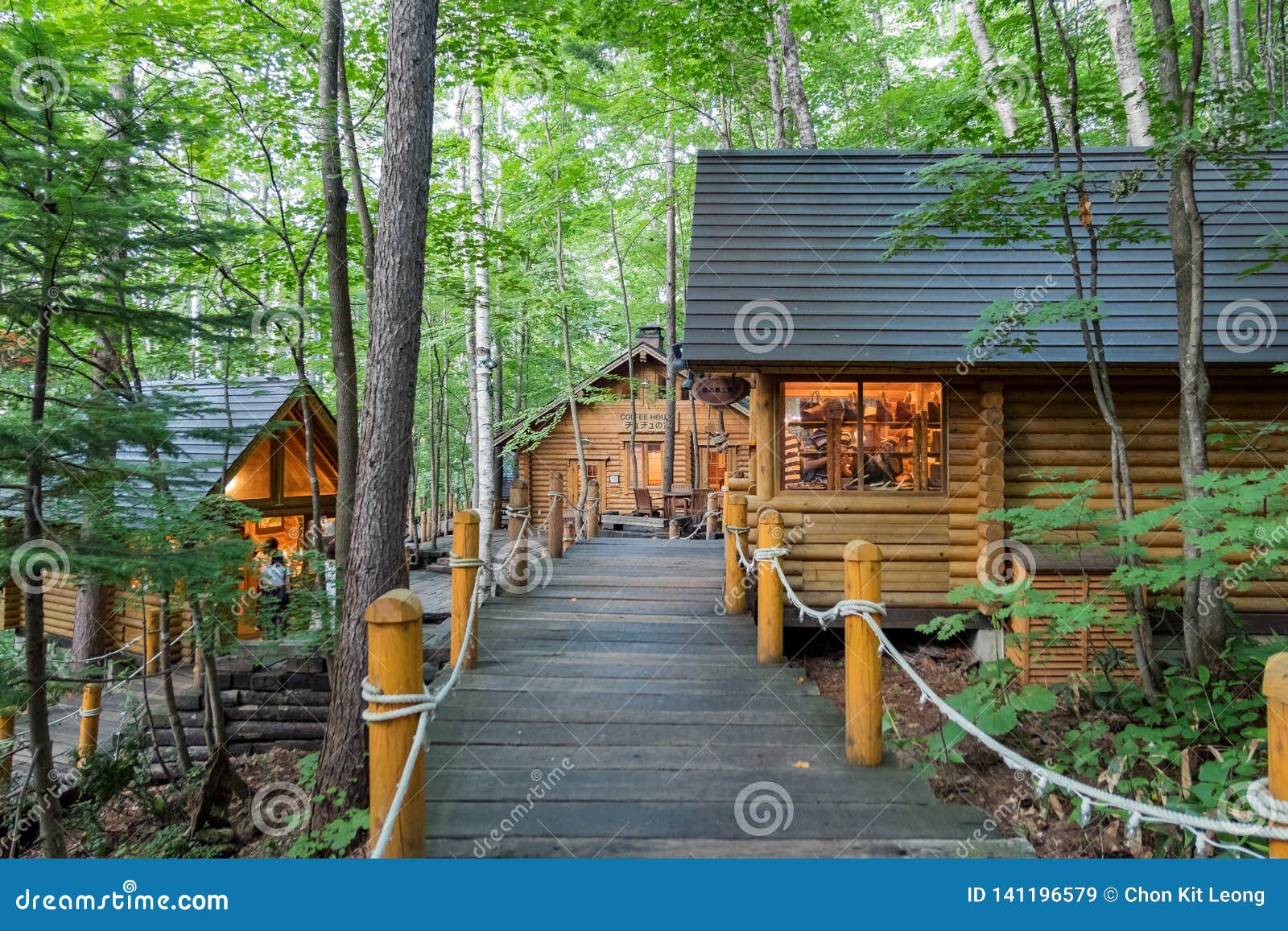 The Famous Elf Forest  Little  House  Editorial Stock Image Image of japan side 141196579