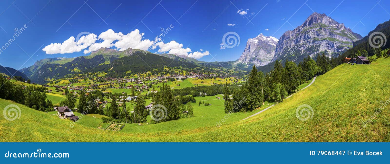 famous grindelwald valley, green forest, alps chalets and swiss alps, berner oberland, switzerland