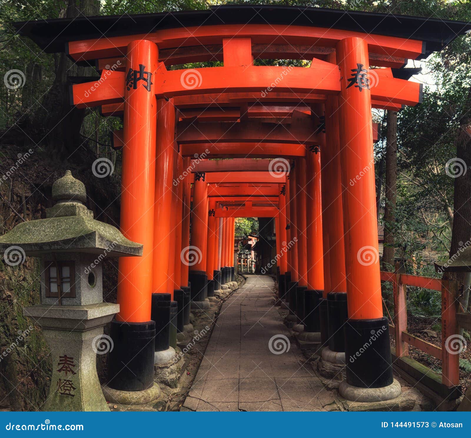 Top 24+ Photos the iconic red gates of a japanese shrine Latest Top 24+ Photos the iconic red gates of a japanese shrine Latest