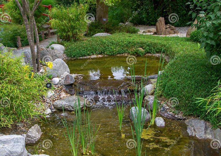 The Famous Lotus Garden in the Franconian Town of Rothenburg Ob Der
