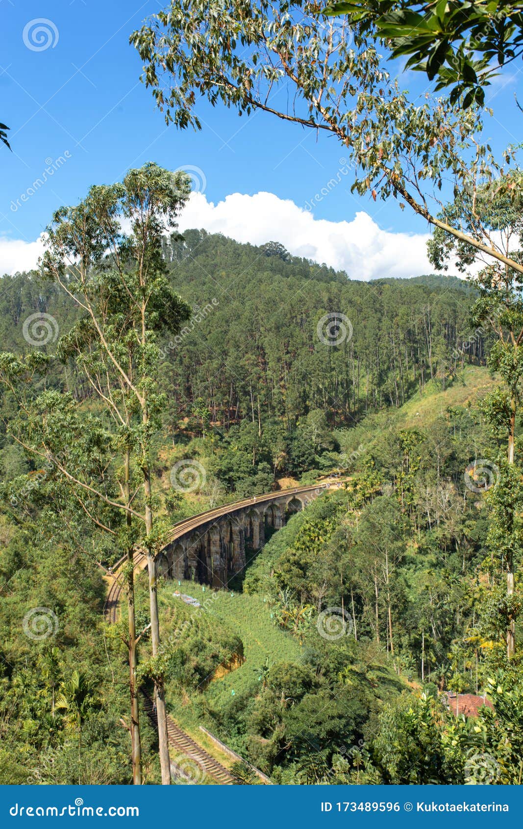 The Famous Ninearch Bridge of the Railway in the Jungle in Sri Lanka