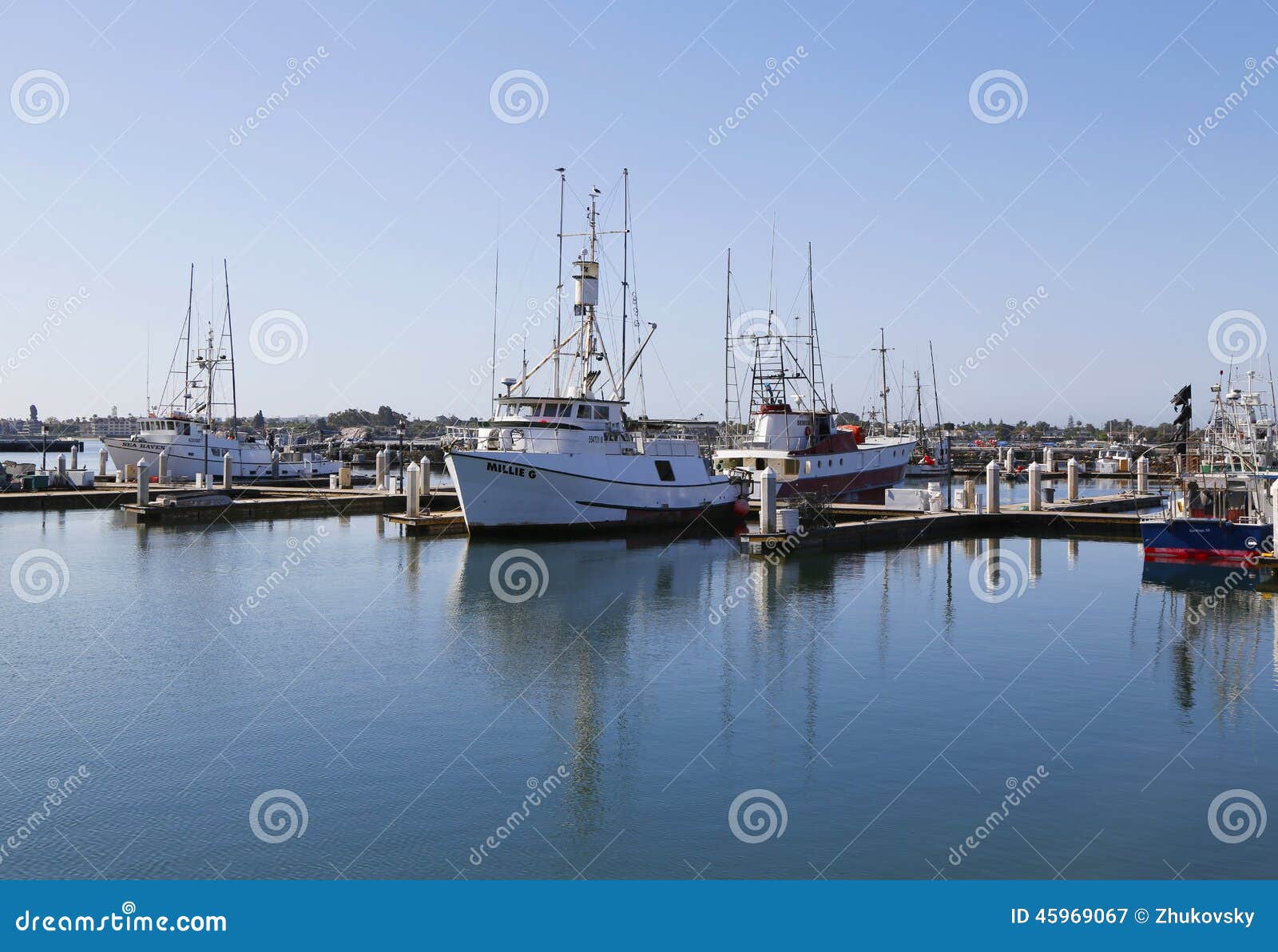 San Diego Tuna Fishing Photos - Free & Royalty-Free Stock Photos from  Dreamstime