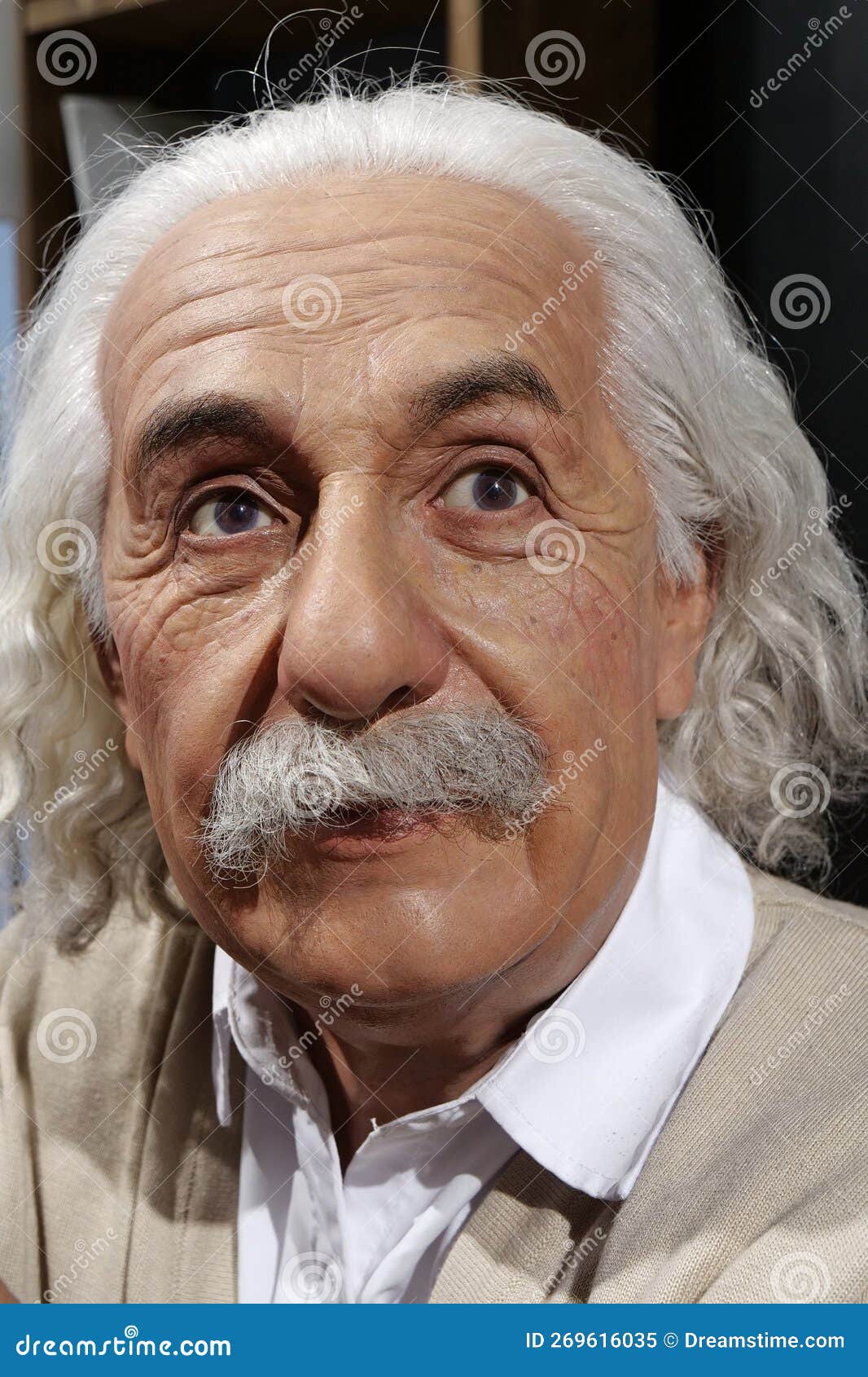 Famous Scientist, Nobel Laureate, Theoretical Physicist Albert Einstein