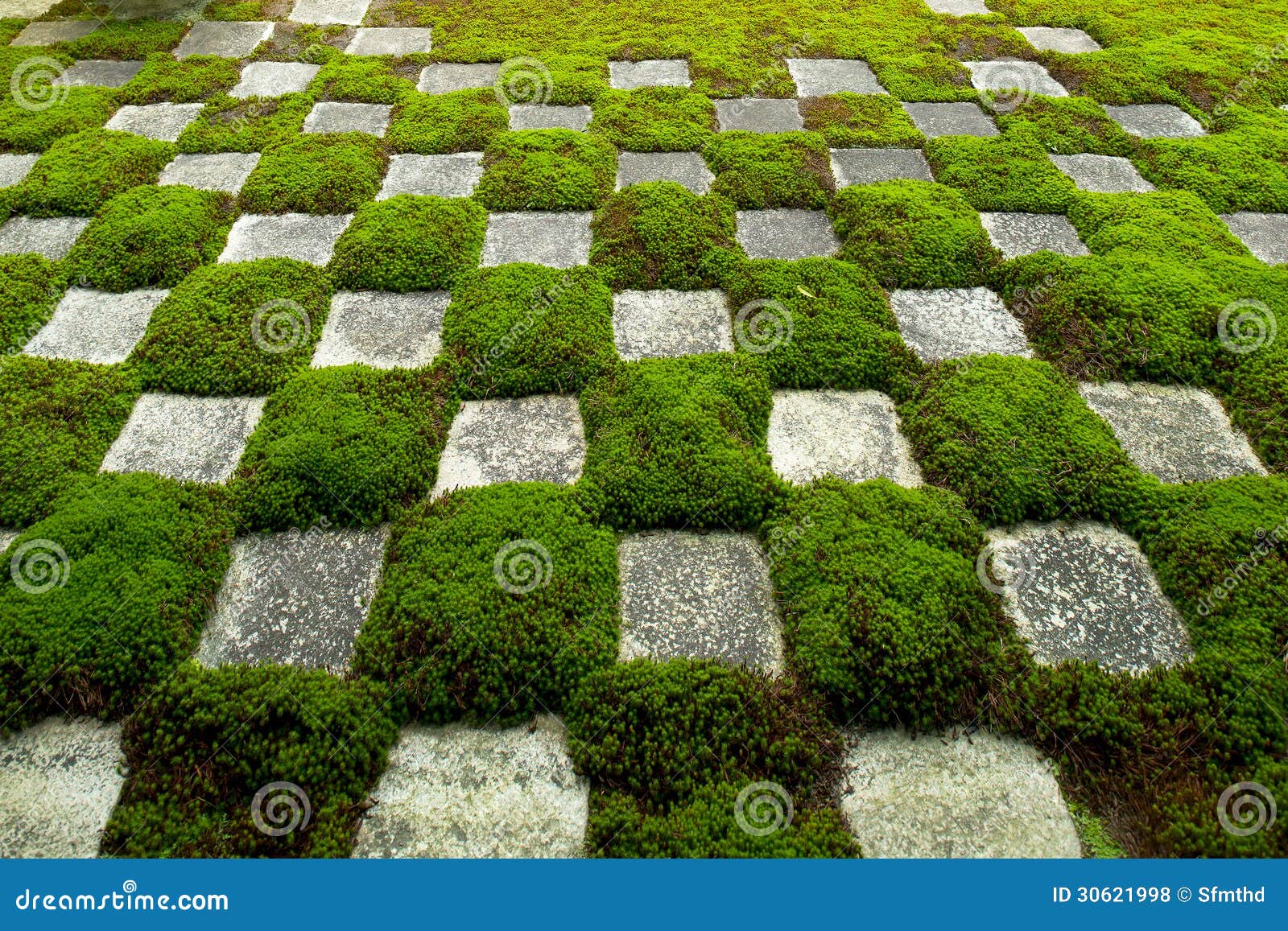 Famous Stone And Moss Garden Stock Photo Image Of Green