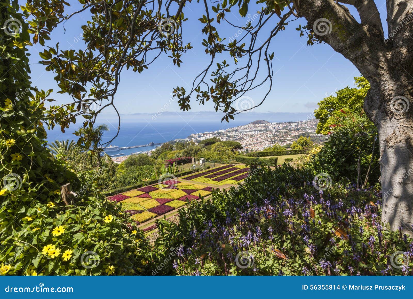 famous tropical botanical gardens in funchal town, madeira island, portugal