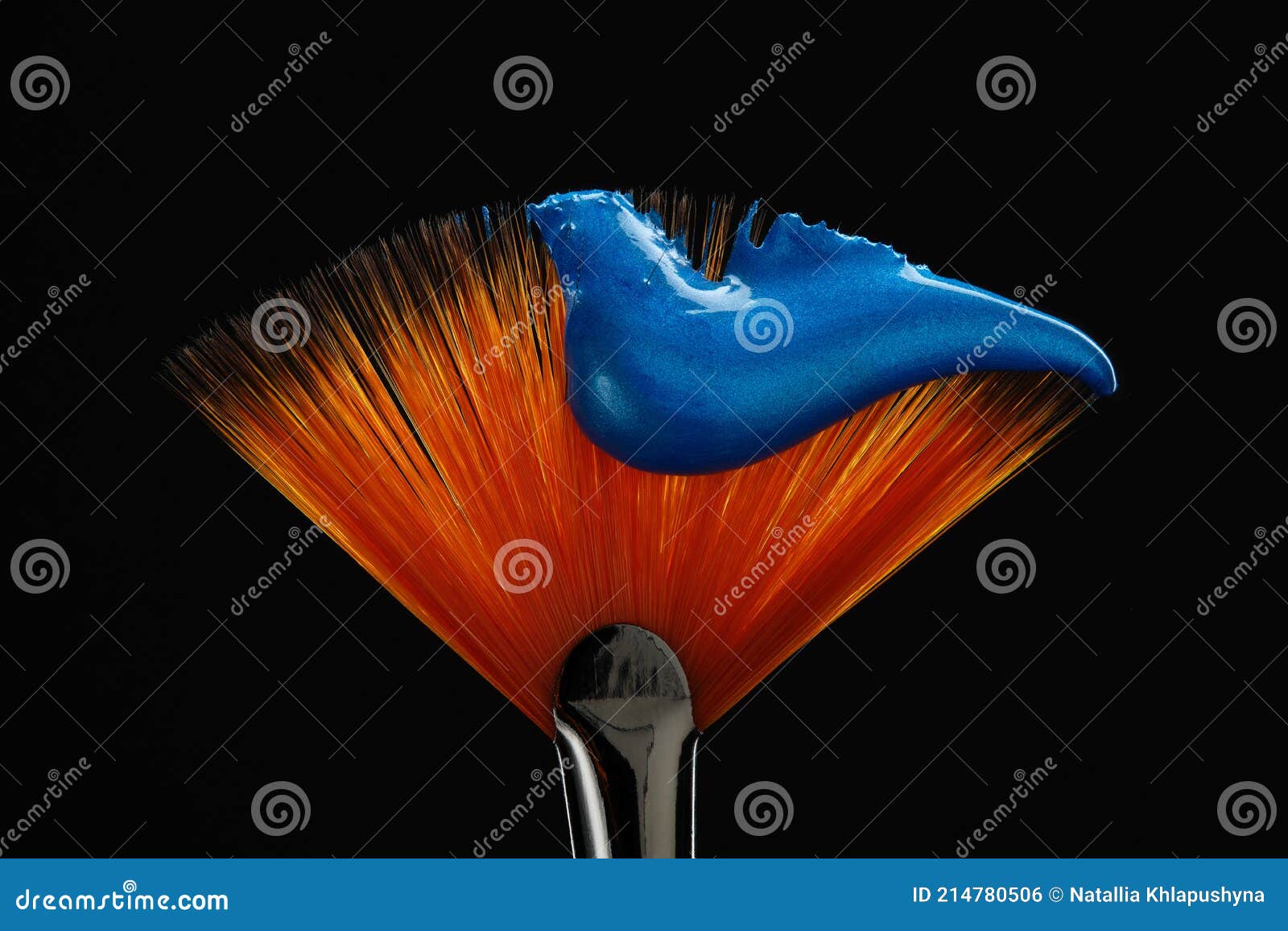 fan d paintbrush with paint in blue color at the tip. artistic flat fan d paintbrush against a black background