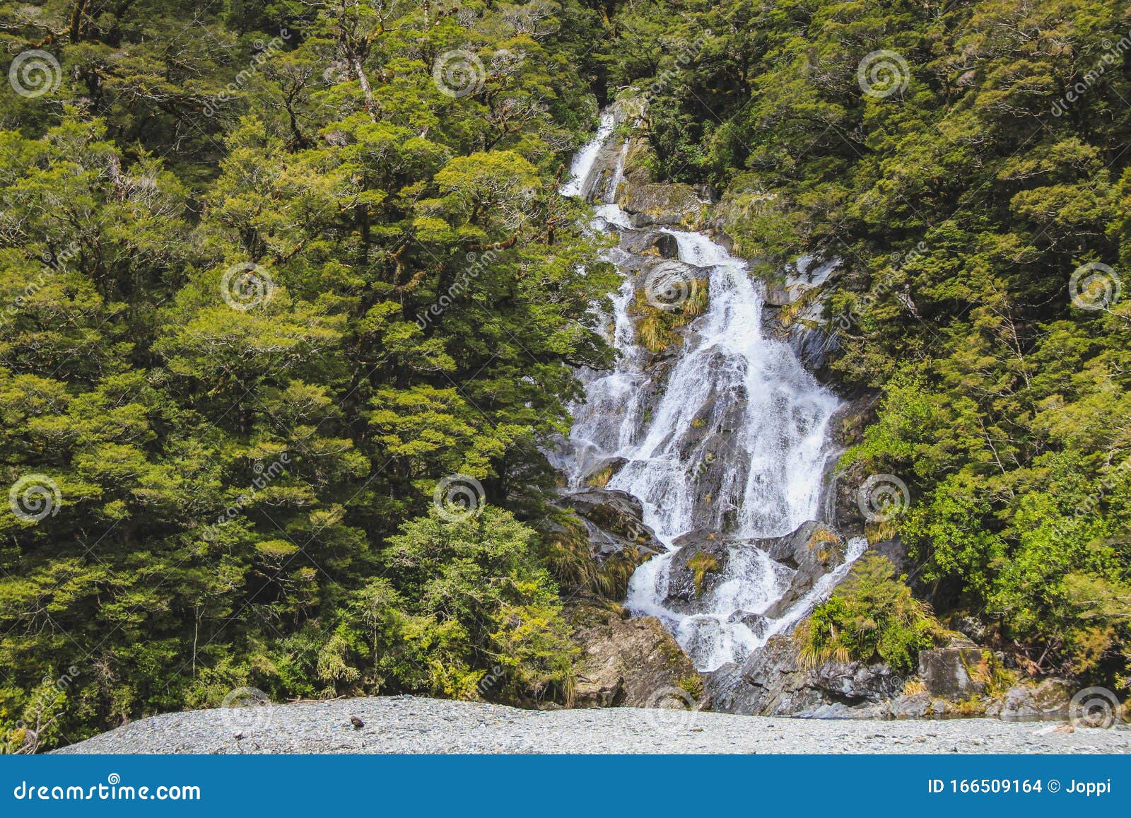 Fantail Falls, pittoresca cascata nel parco nazionale del Monte Aspiring, South Island, Nuova Zelanda