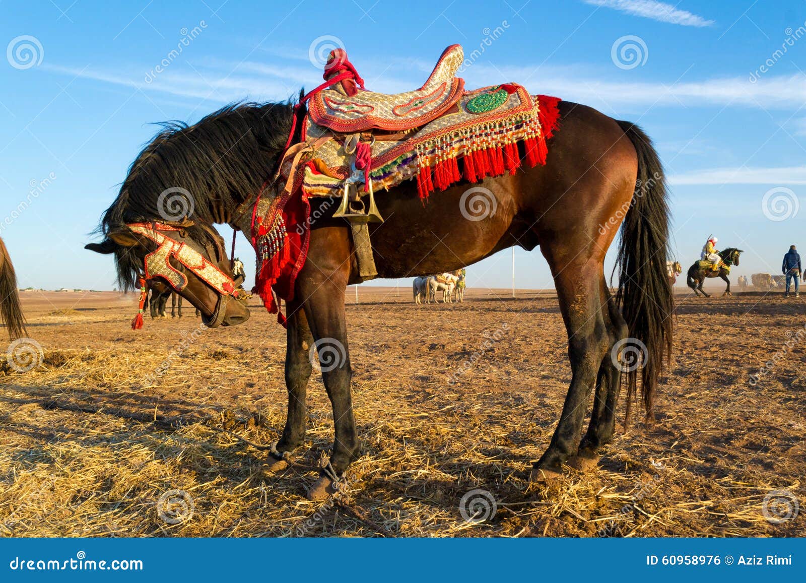 fantasia dark bay horse with colorful saddle