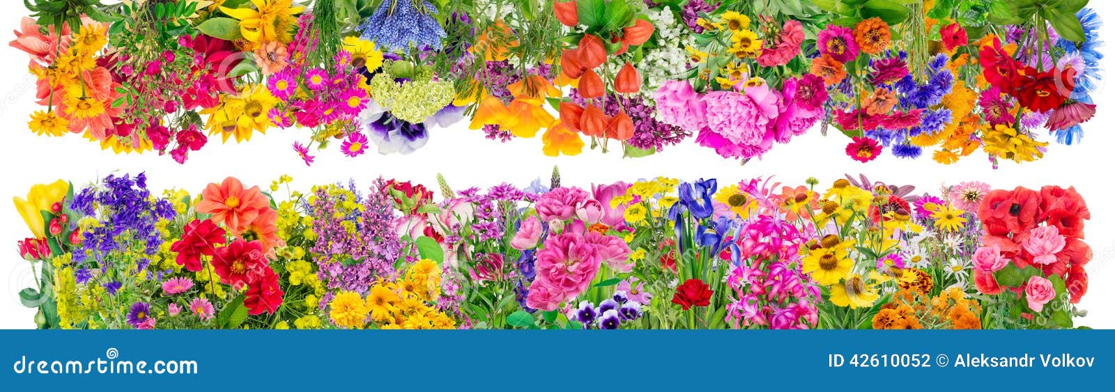 fantastic floral borders stock