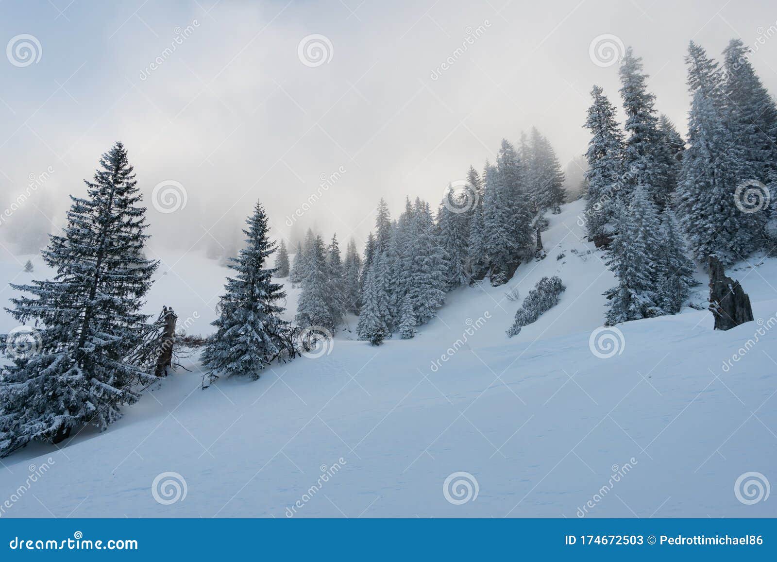 snowshoe tour on the hochgrat in the allgau