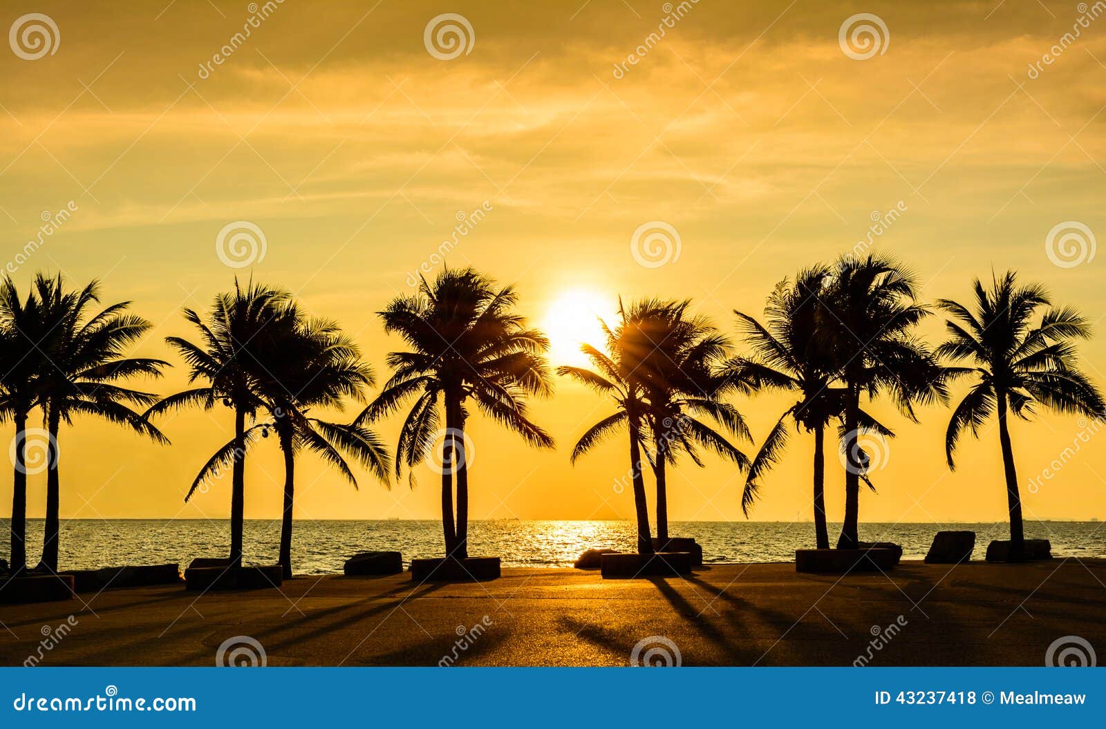 fantastic tropical beach with palms at sunset