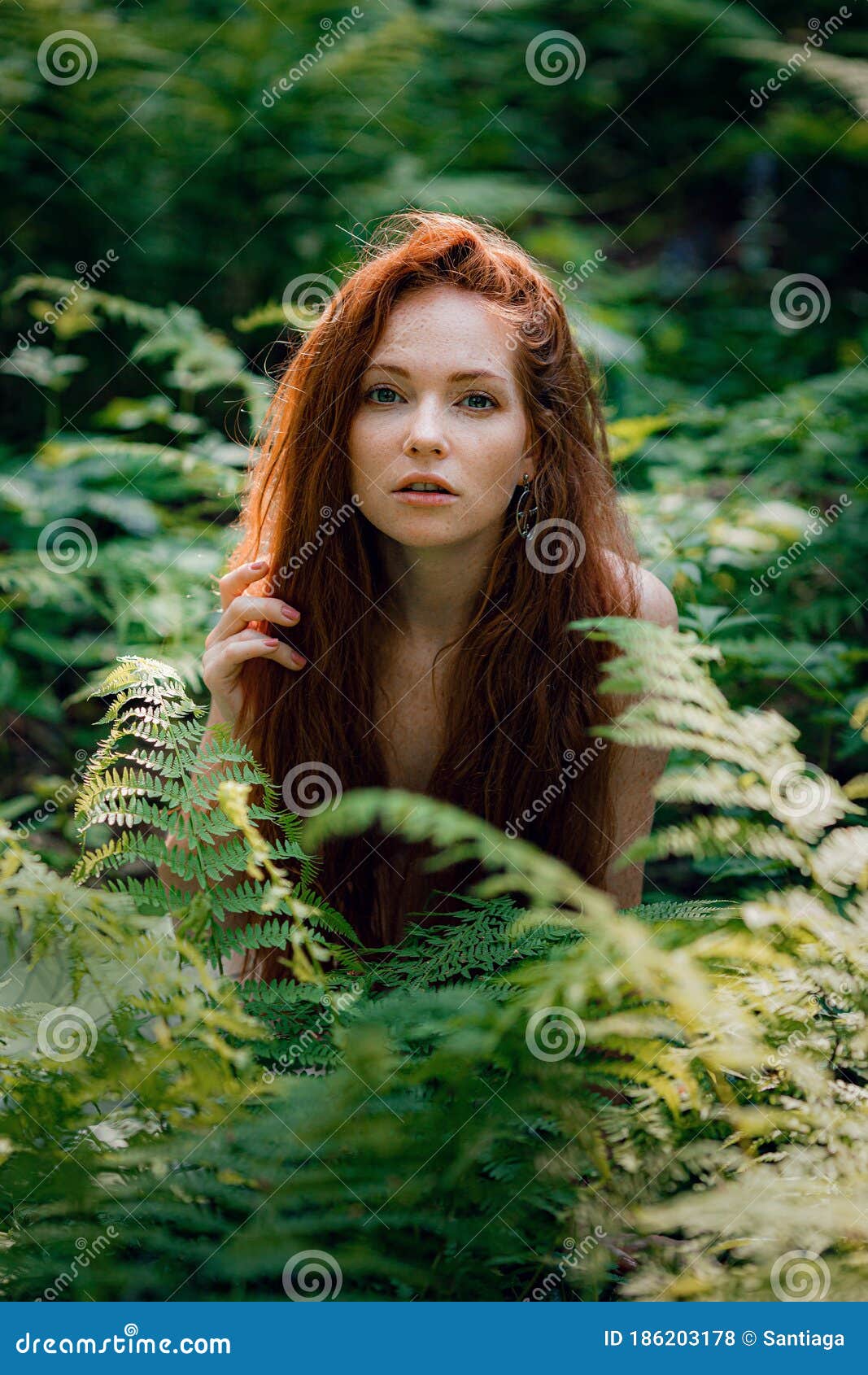Fantasy Fairy Tale Forest, Fairytale Nature Goddess Stock Photo Image of attractive, 186203178