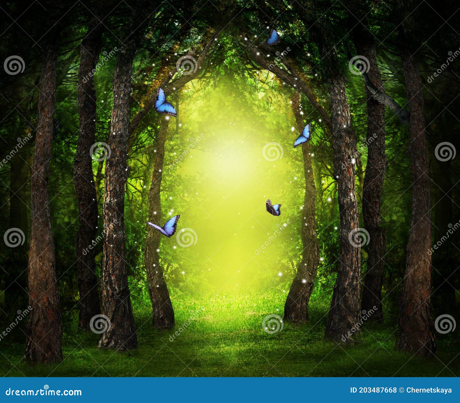 fantasy world. enchanted forest with magic lights, beautiful butterflies and way between trees