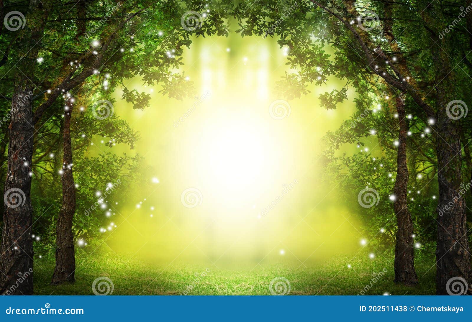 fantasy world. enchanted forest with magic lights and sunlit way between trees