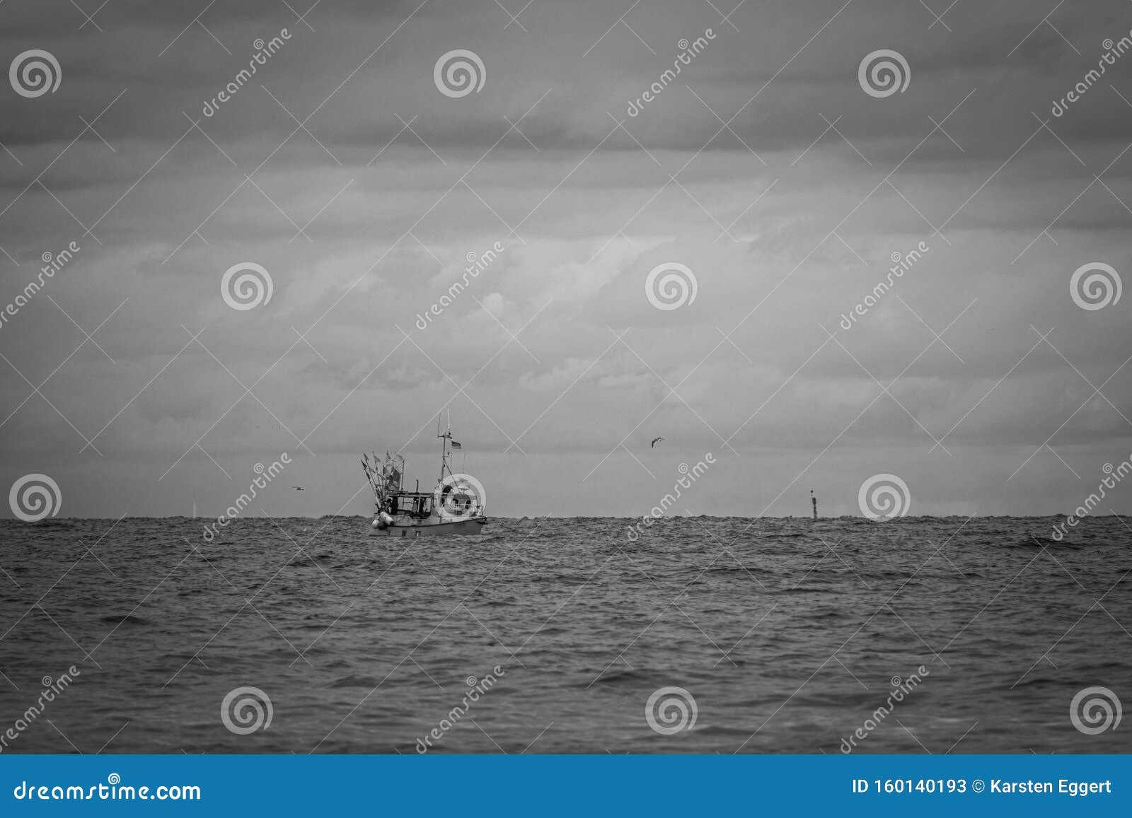 On The Sea Floats A Fishing Boat Which Is Surrounded By Many Seagulls And The Sky Is Full Of Clouds Stock Image Image Of Fish Food On The Sea Floats A Fishing Boat Which Is Surrounded By Many Seagulls And The Sky Is Full Of Clouds Stock Image Image Of Fish Food