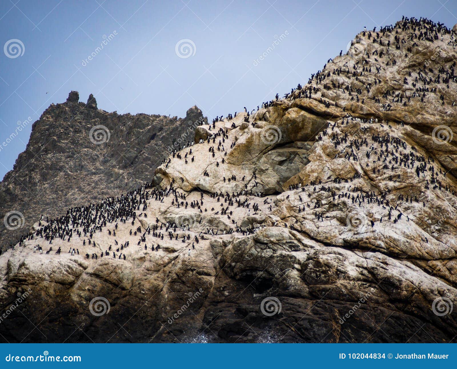 farallon island rock with birds