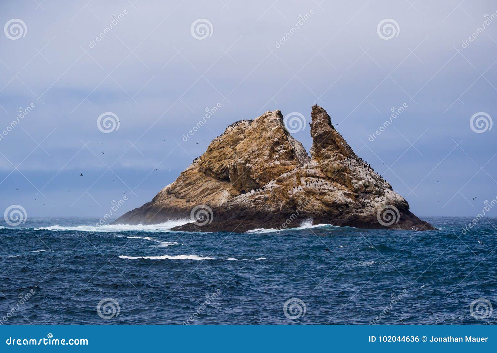 farallon island rock with birds