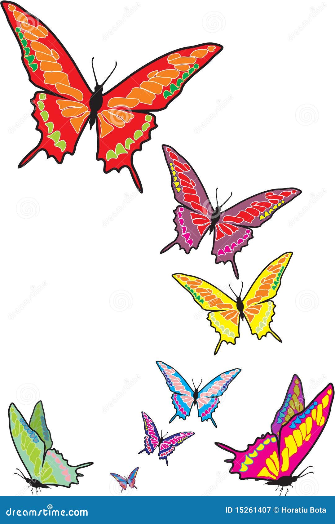 Illustrazione della farfalla fatta a mano dalla s dopo una foto dell'insetto