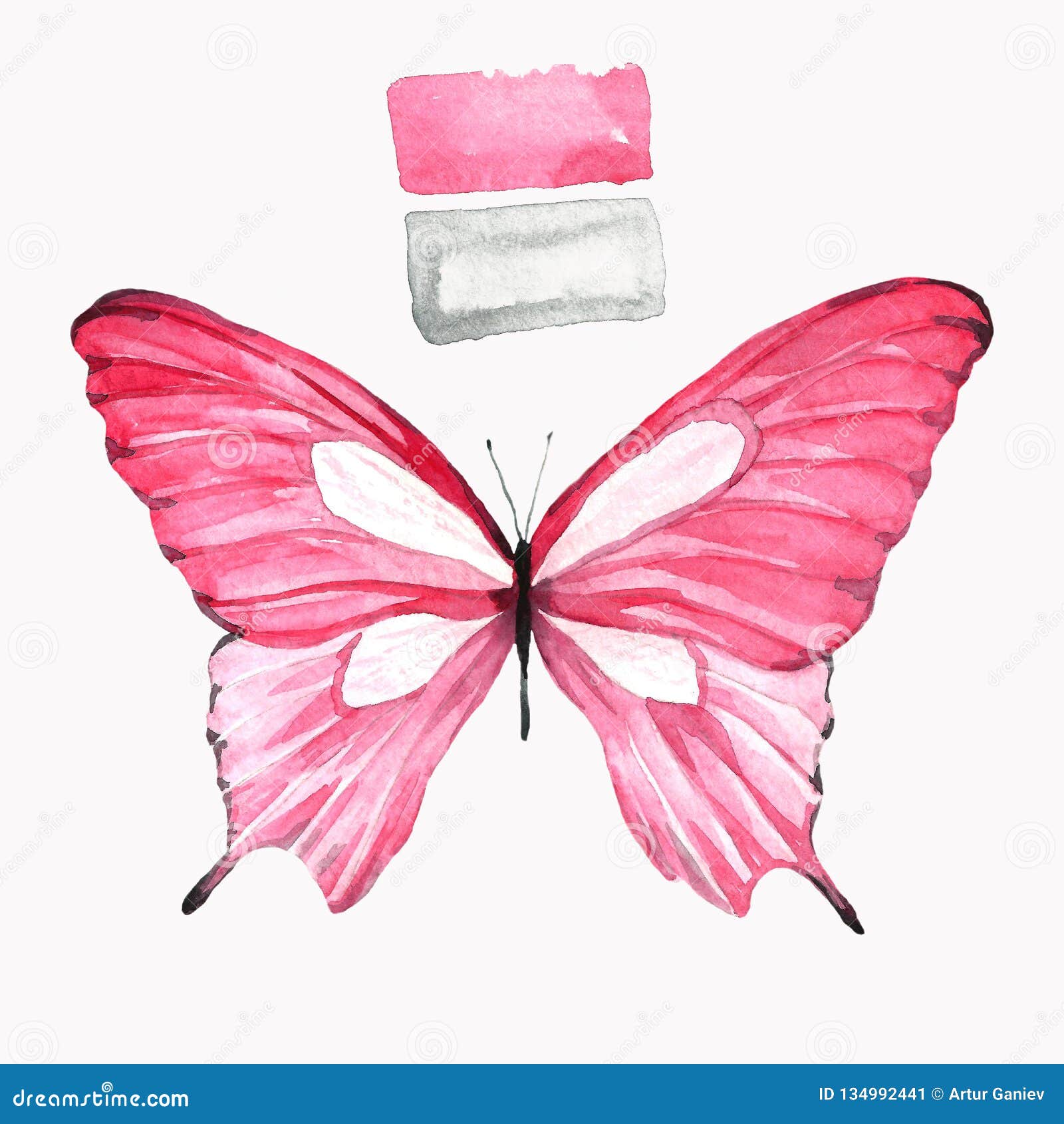 Farfalla Nel Rosa Dell Acquerello Illustrazione Di Stock Illustrazione Di Libero Celebrazione 134992441