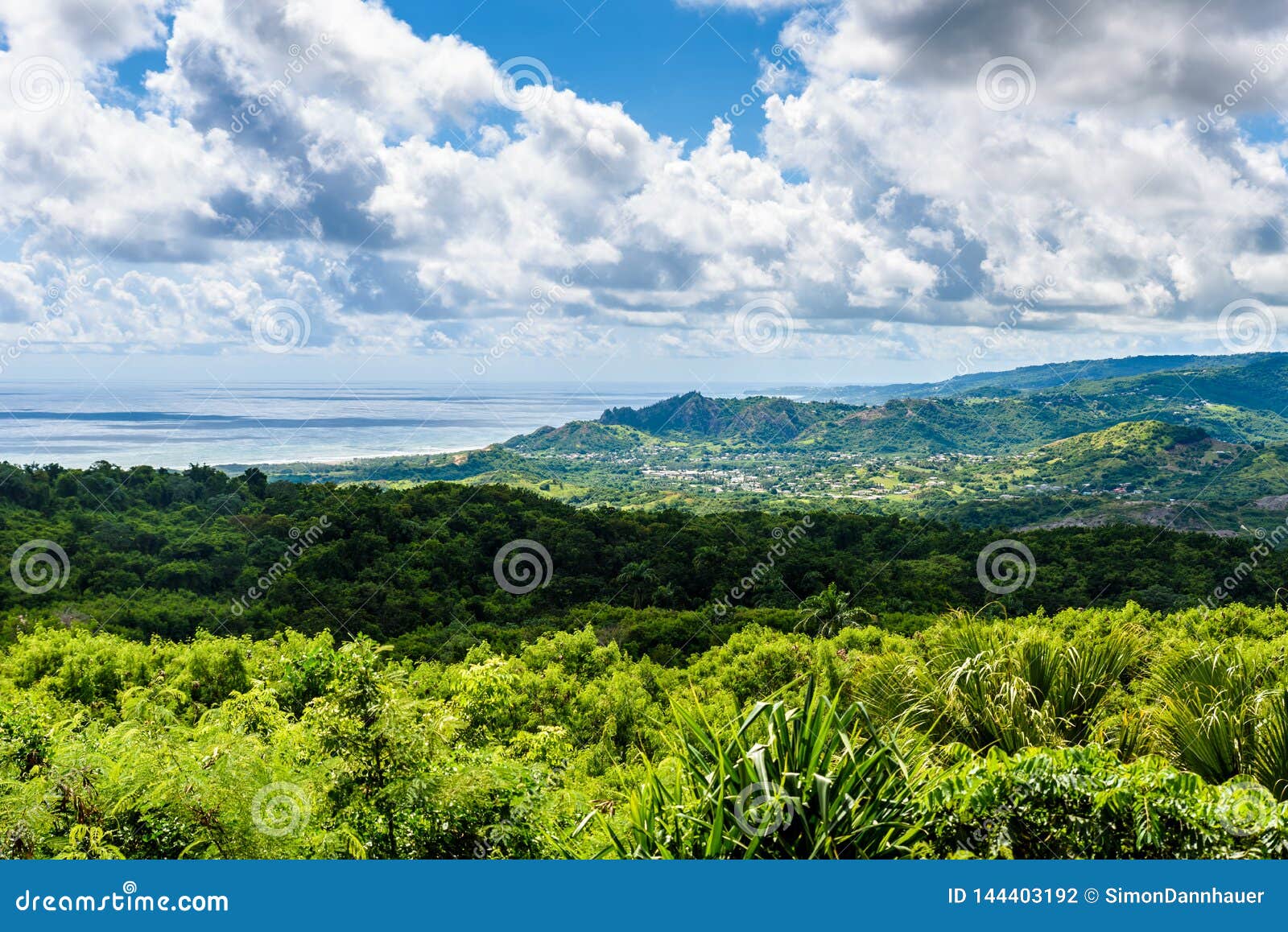 Farley Hill National Park On The Caribbean Island Of Barbados. It Is A ...