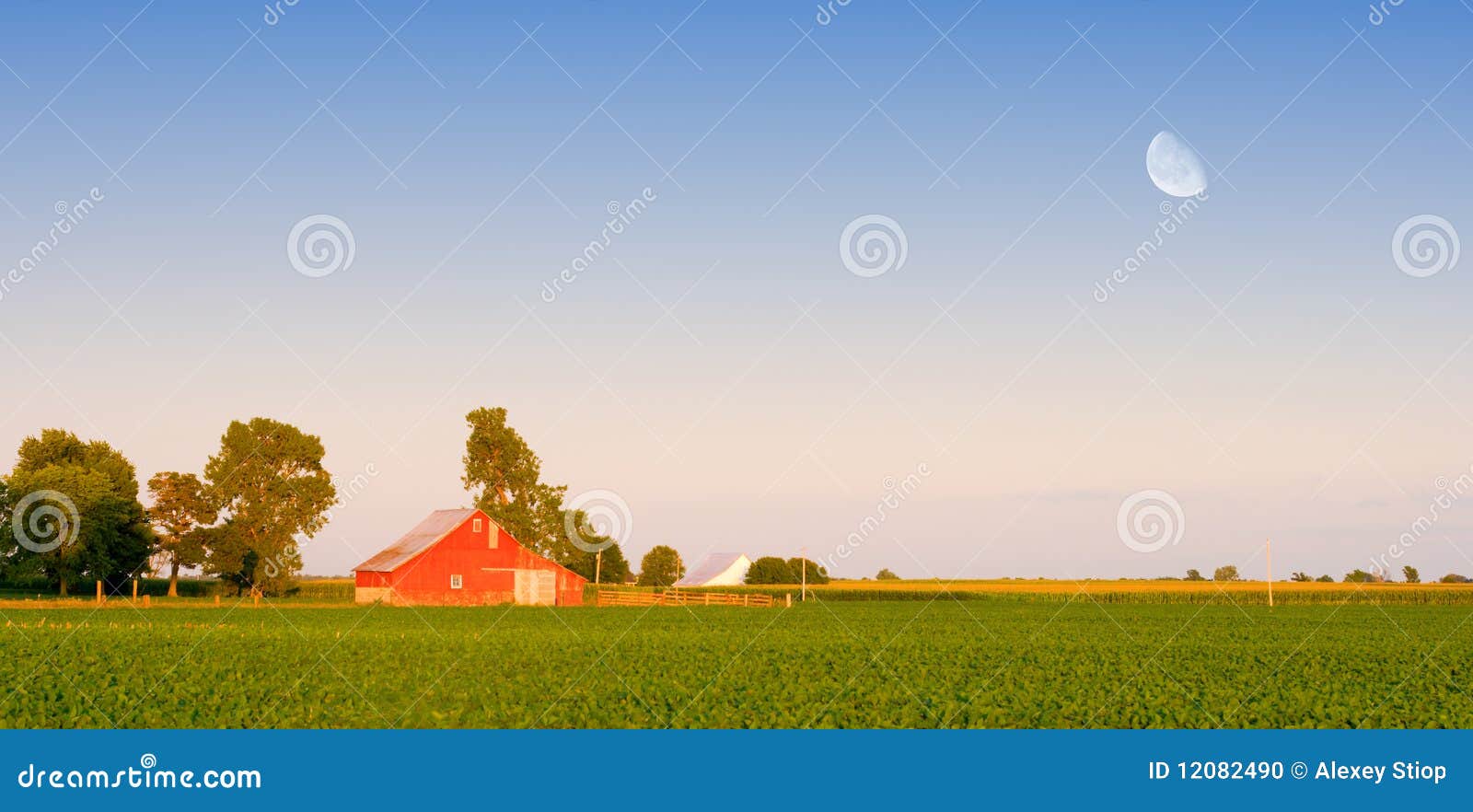 Farm stock photo. Image of vibrant, summer, yellow, farmland 12082490