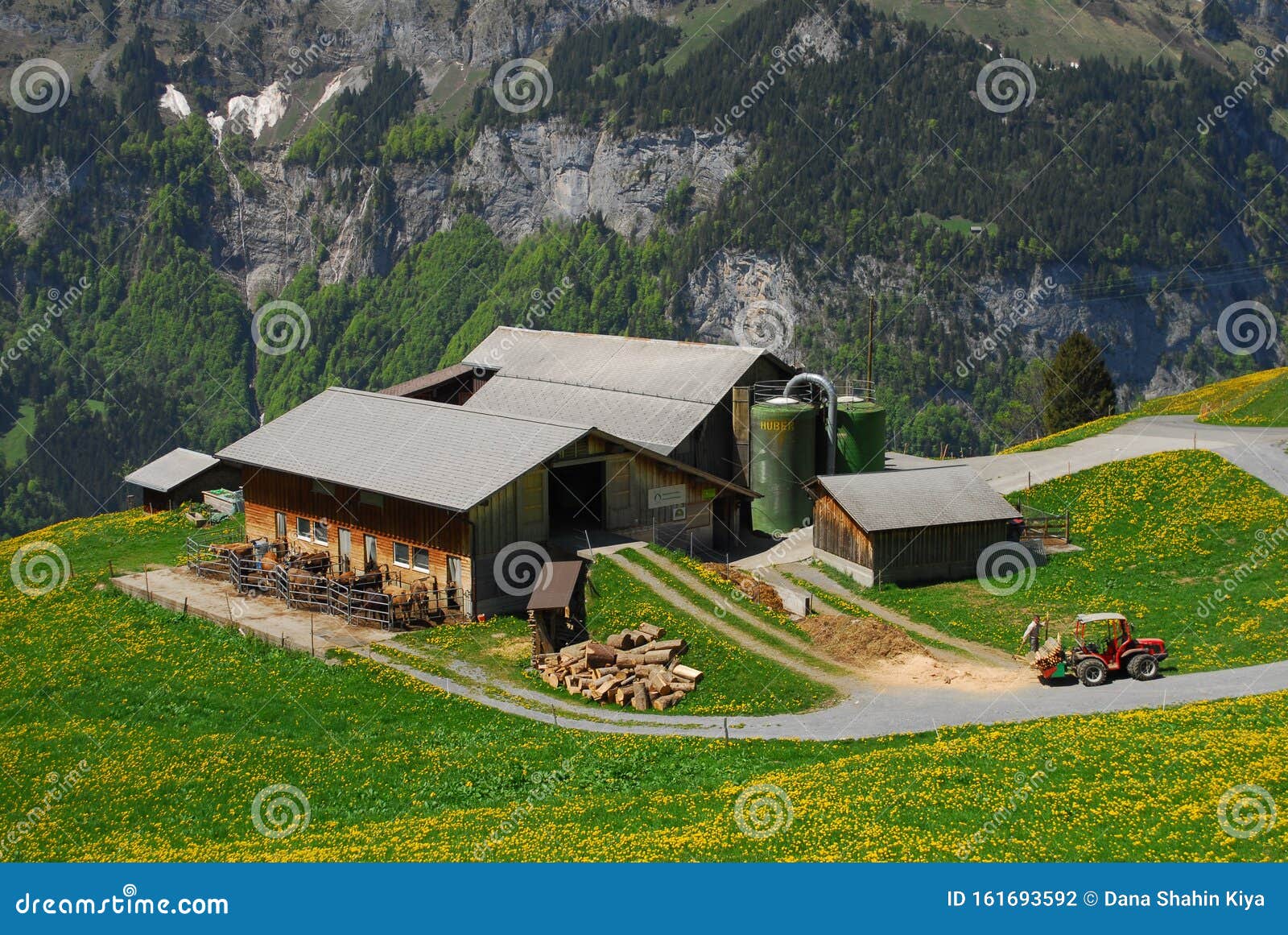 swiss champoz imaginary farm anti aging