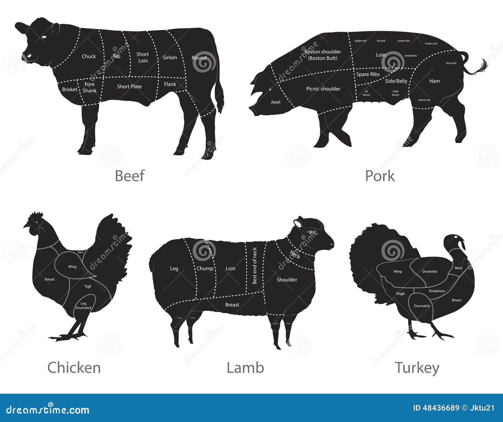Farm animal meat cuts stock vector. Illustration of meat - 48436689 Farm animal meat cuts stock vector. Illustration of meat - 48436689