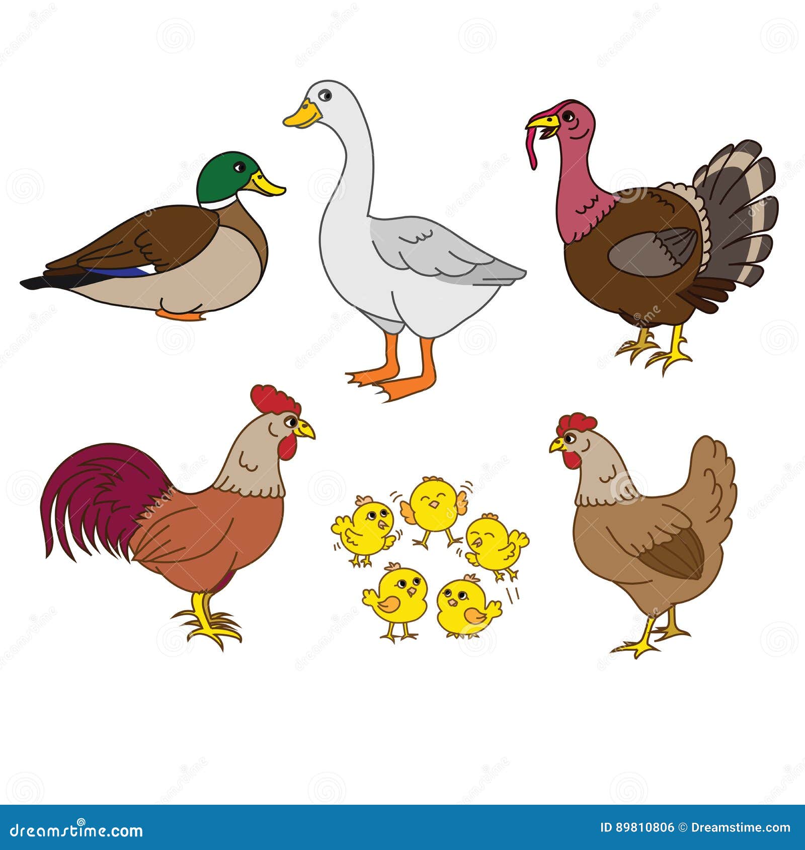 Farm Animals Set, Vector with Chicken Family and Farm Items. Set of  Domestic Birds. Cute Hen, Rooster, Chicks, Duck, Turkey. Stock Vector -  Illustration of cute, farm: 89810806