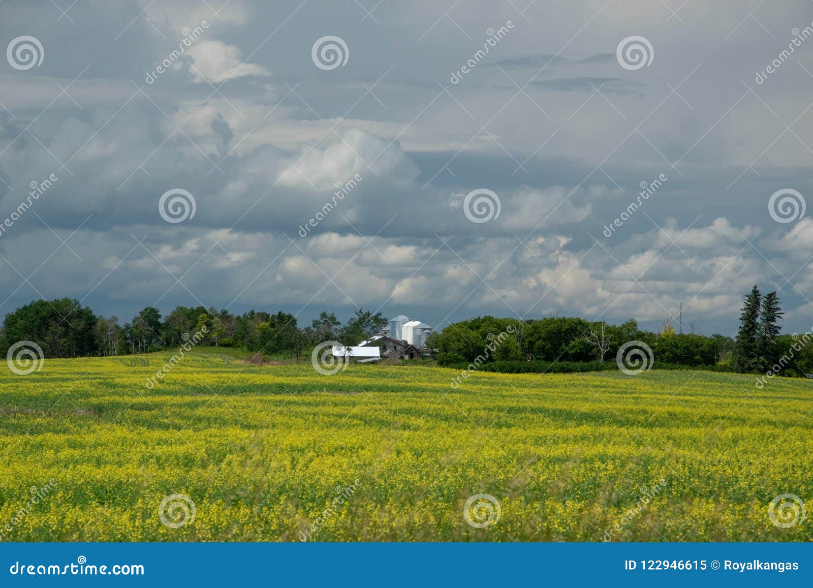 Farm and Canola Crops, Saskatchewan, Canada. Stock Image Image of