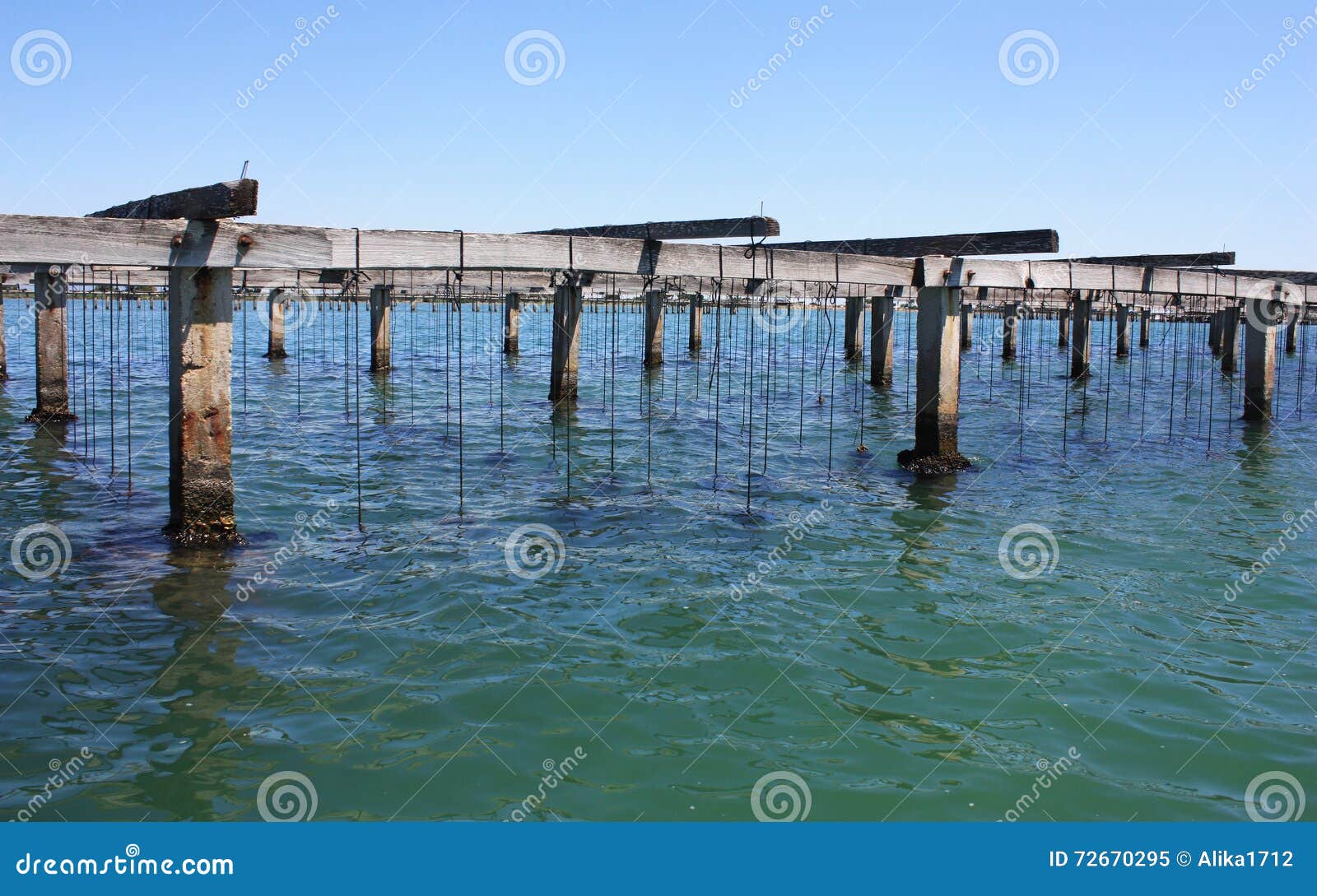 Farm on Cultivation of Mussels in the Mediterranean Stock Image Image