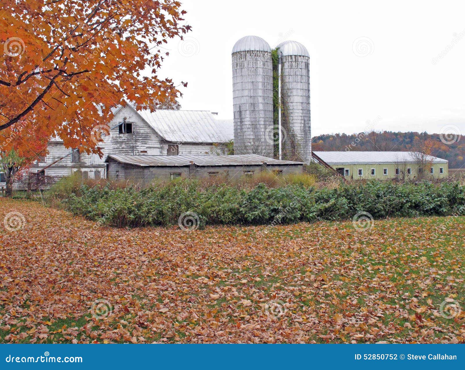 Page 16  Upstate New York Fall Images - Free Download on Freepik